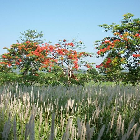 Lilawalai Resort Nong Nam Daeng Екстериор снимка
