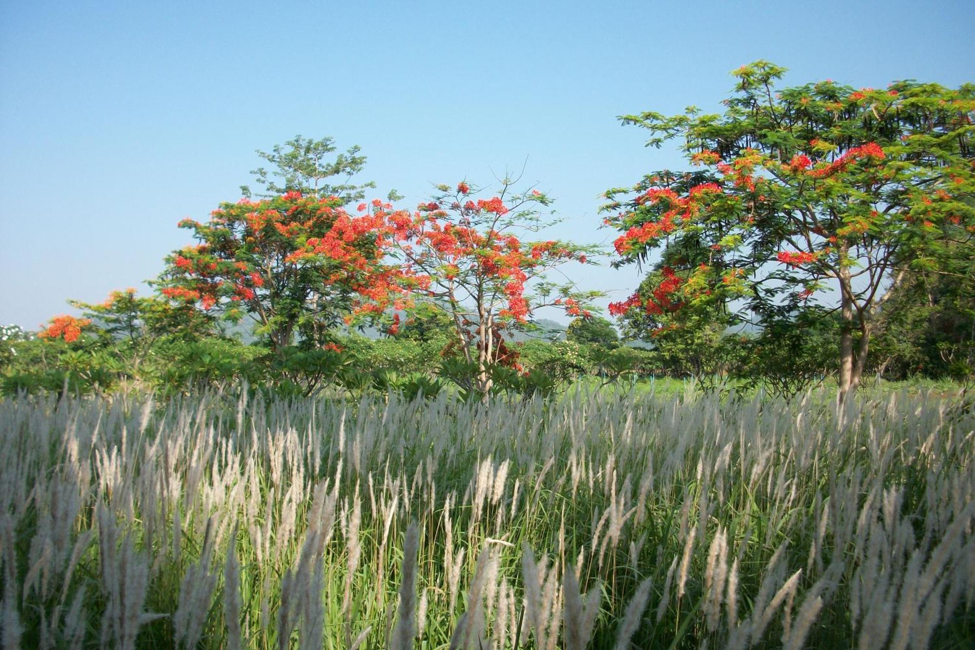 Lilawalai Resort Nong Nam Daeng Екстериор снимка